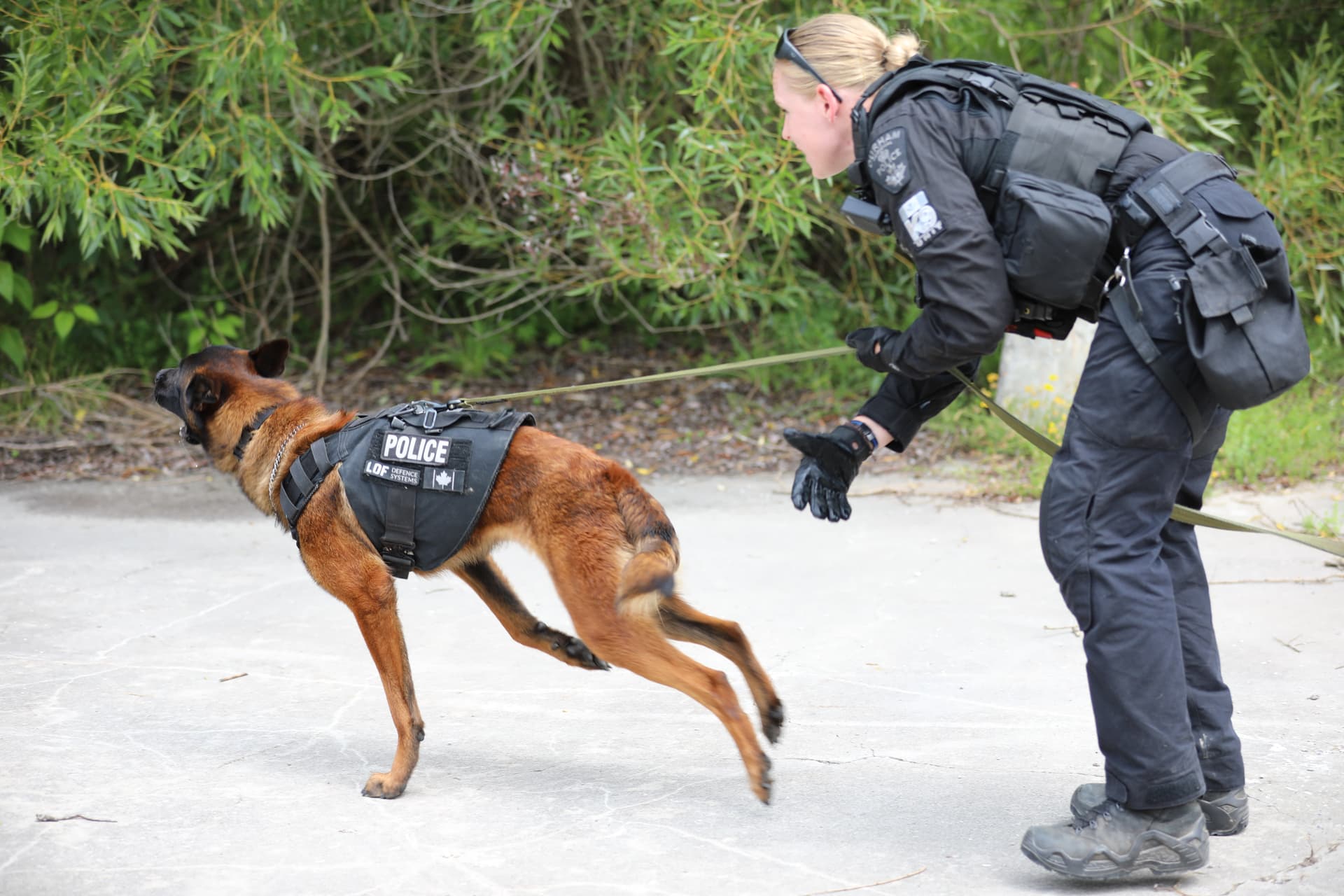 A woman in a police uniform is playing with a dog